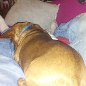 Meet your Posher, Steve